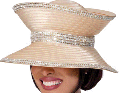 GMI 400672H Hat