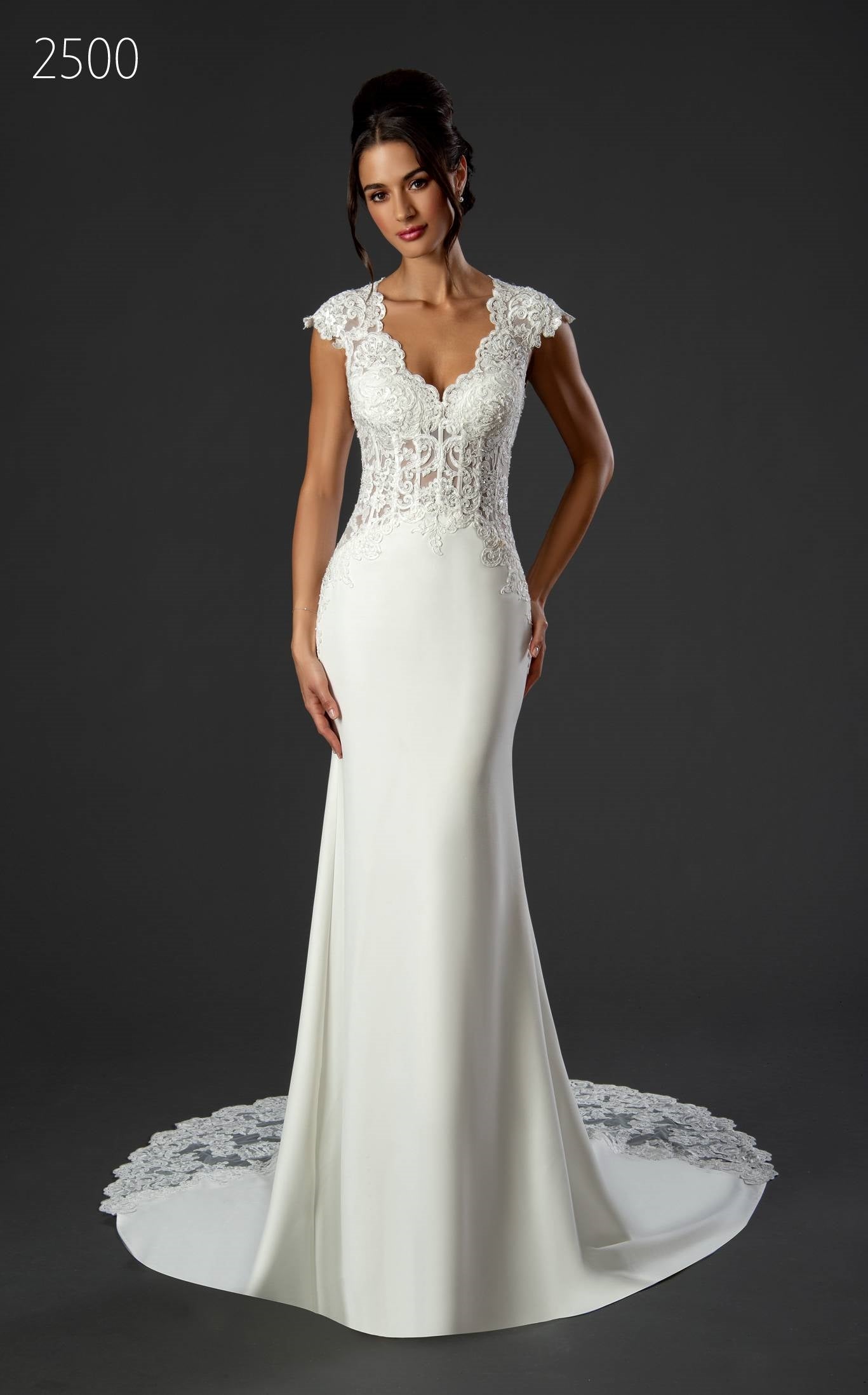 Stella Couture 2500 Lace Trim PlusSize Bridal Gown